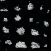 Abstract composition of clustered, textured forms in grayscale with faint swan outlines and overlaid text “swan > fabric (g) > g 475”.